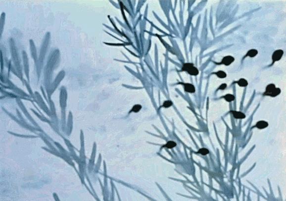 奇怪的知识增加了手指长度,奇怪的知识增加了图片大全