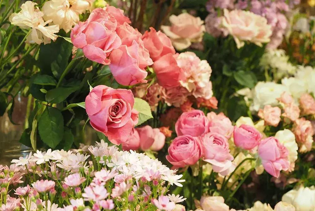 日本最有名的花店,日本青山花店