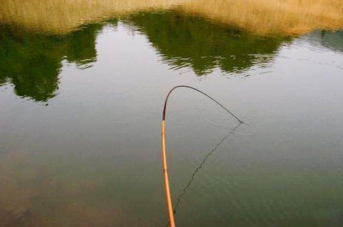 钓大物的正确使用方法,野钓守大物推荐线组