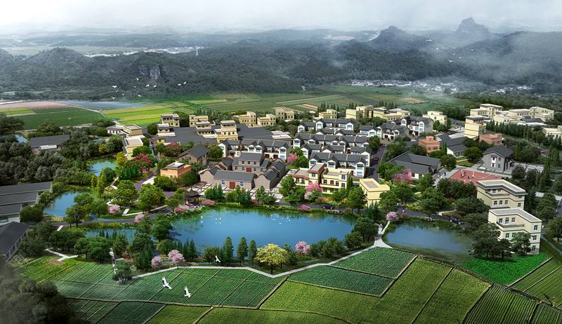 农村三农未来前景如何规划,农民种地未来5年规划