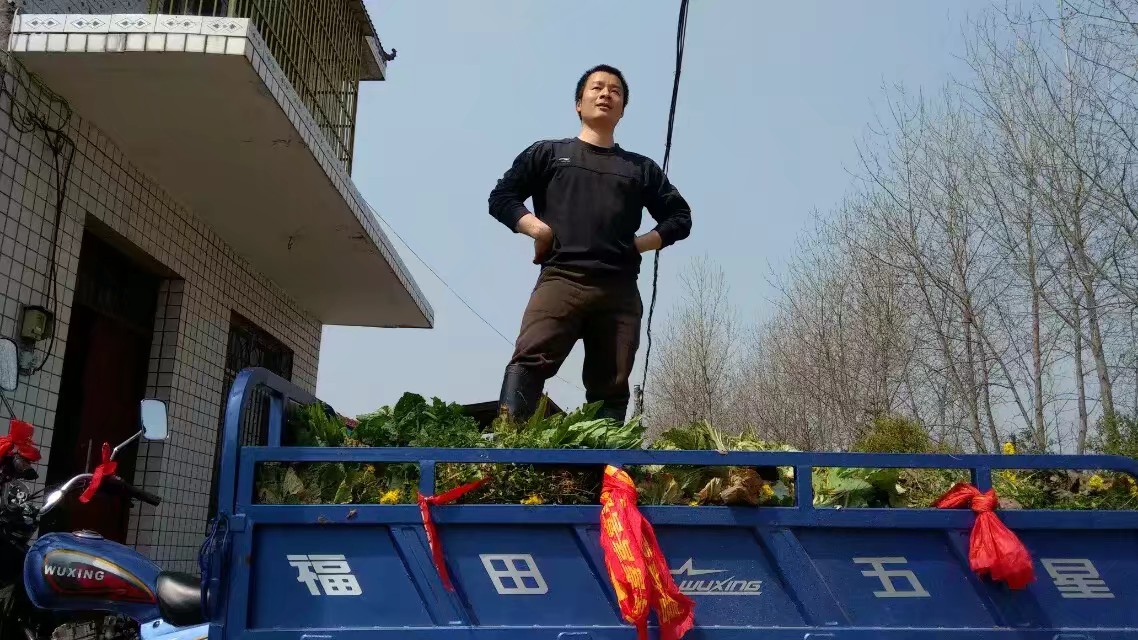 小龙虾如何养殖经济又实惠,小龙虾养殖成本大全