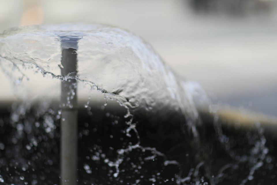 日本街头为什么看不到胖子,日本街头为什么几乎看不到胖子