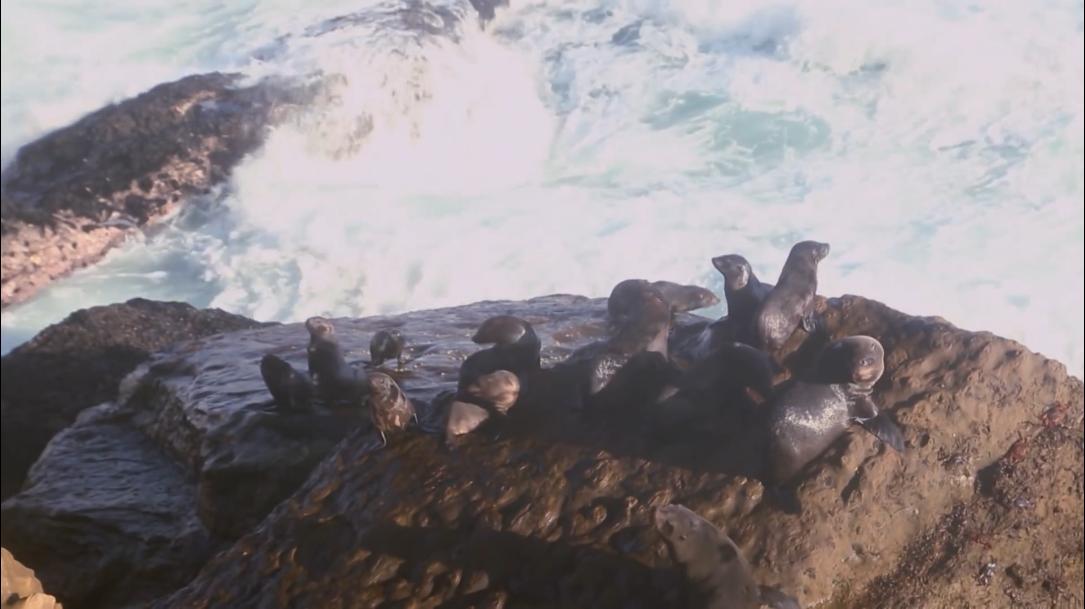 66岁渔民打鱼,60岁渔民捕鱼