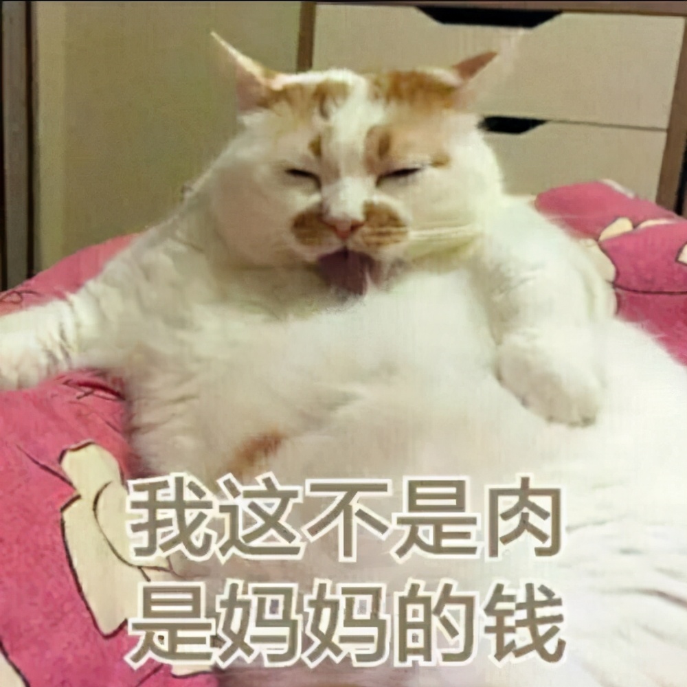 猫咪一直伸舌头舔是什么意思,猫咪舔手并咬是什么意思