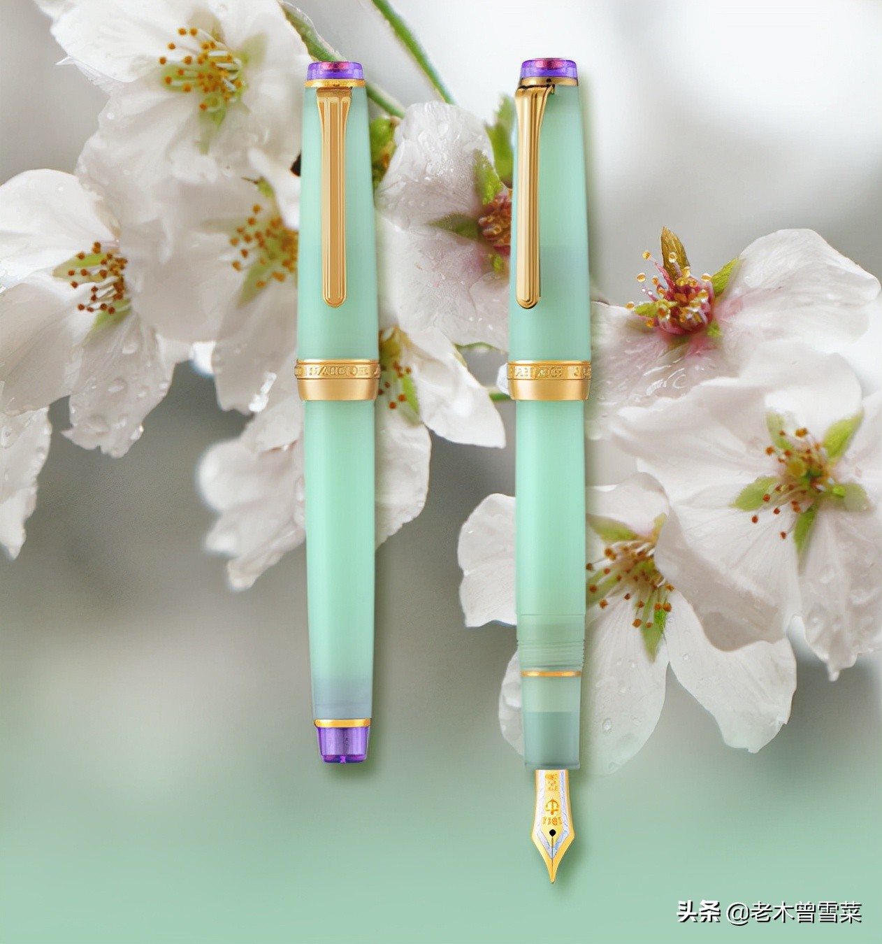 2021钢笔推荐,2021年值得购买的钢笔