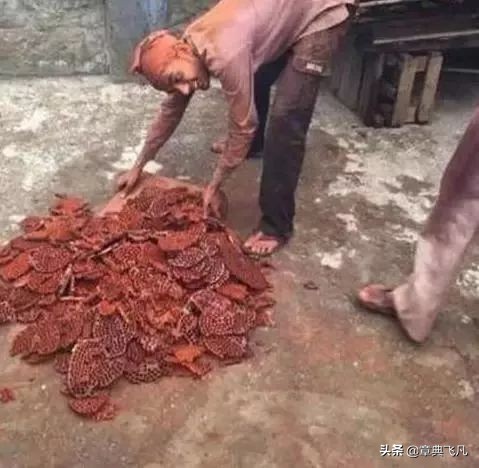 印度人都开的什么车,印度人是怎么坐火车的