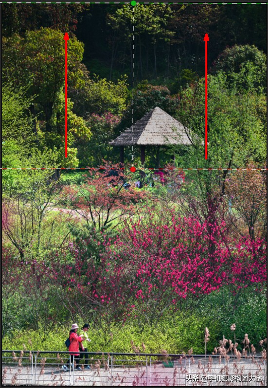 拍出好照片的简单摄影技巧,专业摄影技巧如何拍摄出精美照片