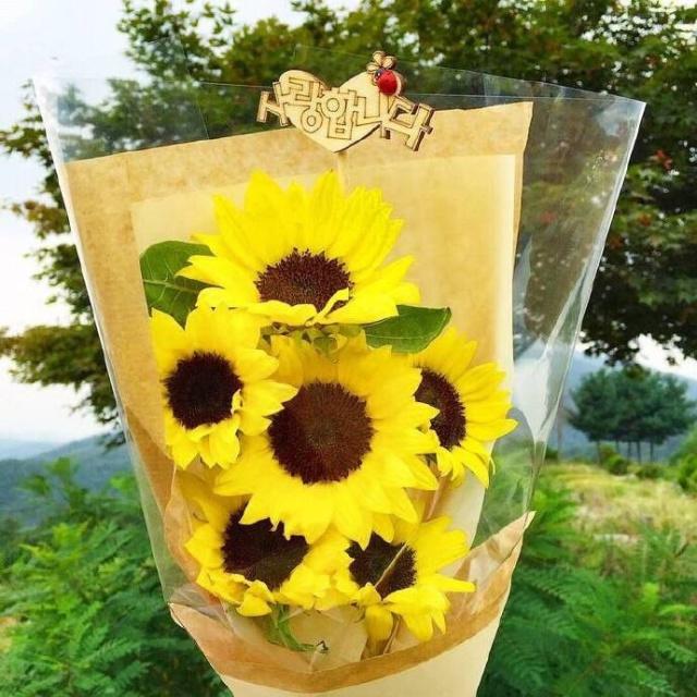 经典爱情扎心句子短句,关于爱情很甜的句子朋友圈