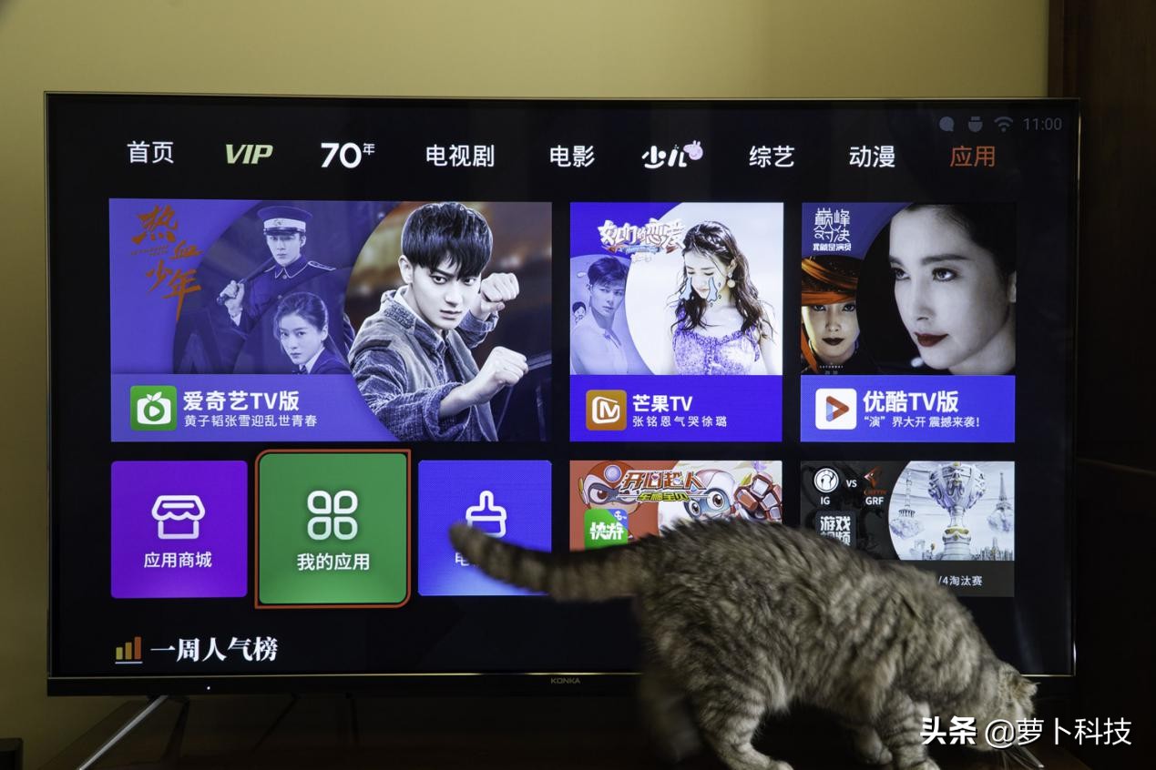 康佳led55d8,康佳电视55寸led55ai