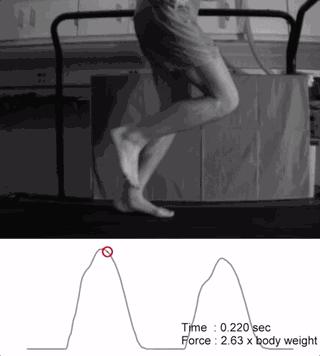 不同类型跑者跑鞋选择,初跑者如何选择跑鞋