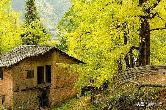 广东粤北最美公路,粤北最美的国道是哪条线