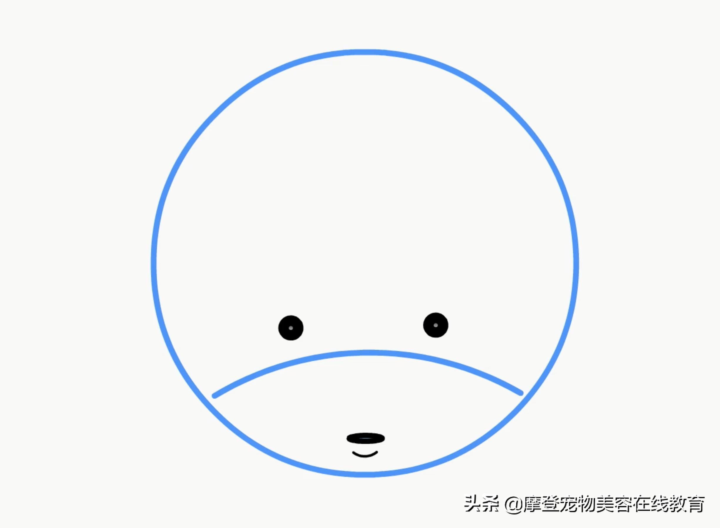 比熊美容剃剪教程,比熊美容教学剪毛视频