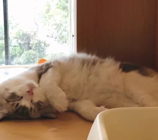 南京值得去生活吗,在南京生活15年的感受