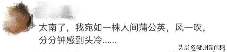 太秃了用什么假发片,秃头怎么办才能防脱发