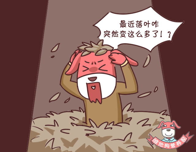 战痘十年了怎么治好的,战痘多年没有效如何正确祛痘