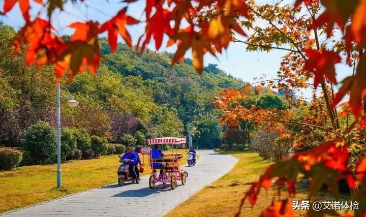 合肥景区免费景点,合肥旅游景点大全免费玩