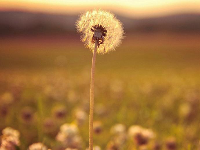 跟双子座无法沟通有代沟,和双子座最舒服的相处模式