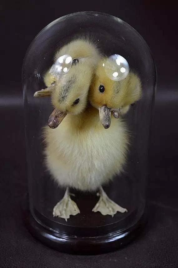 在现实中有什么恐怖的东西,很恐怖的小玩意