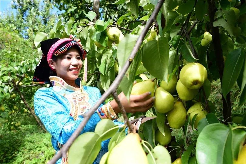 空调吹久了，喉咙又干又痒怎么办？可能是家里少了它