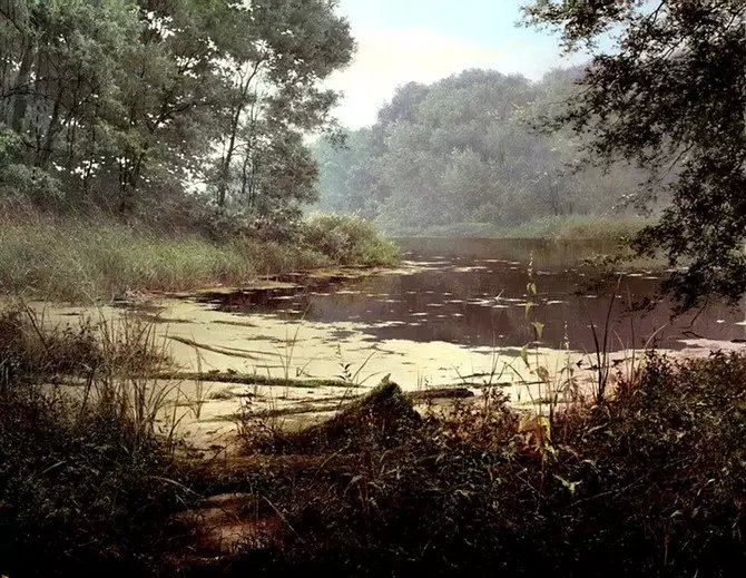 喀拉刨柯油画作品欣赏,瑞典油画人物画