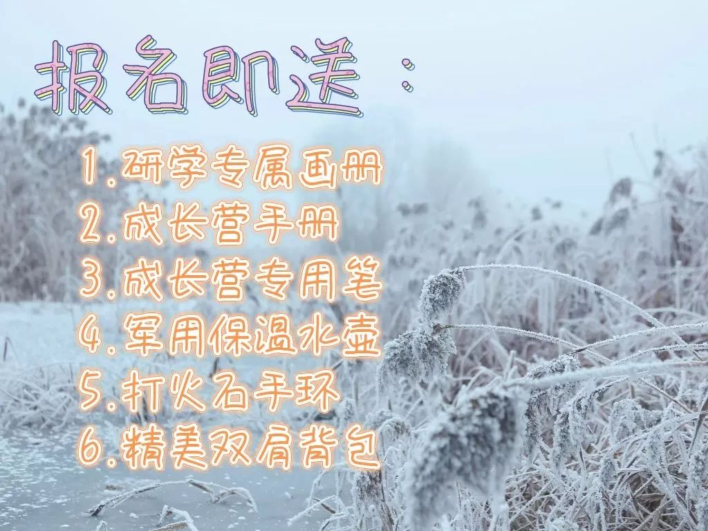 哈尔滨冰雪世界研学,新启元厦门暖冬研学营