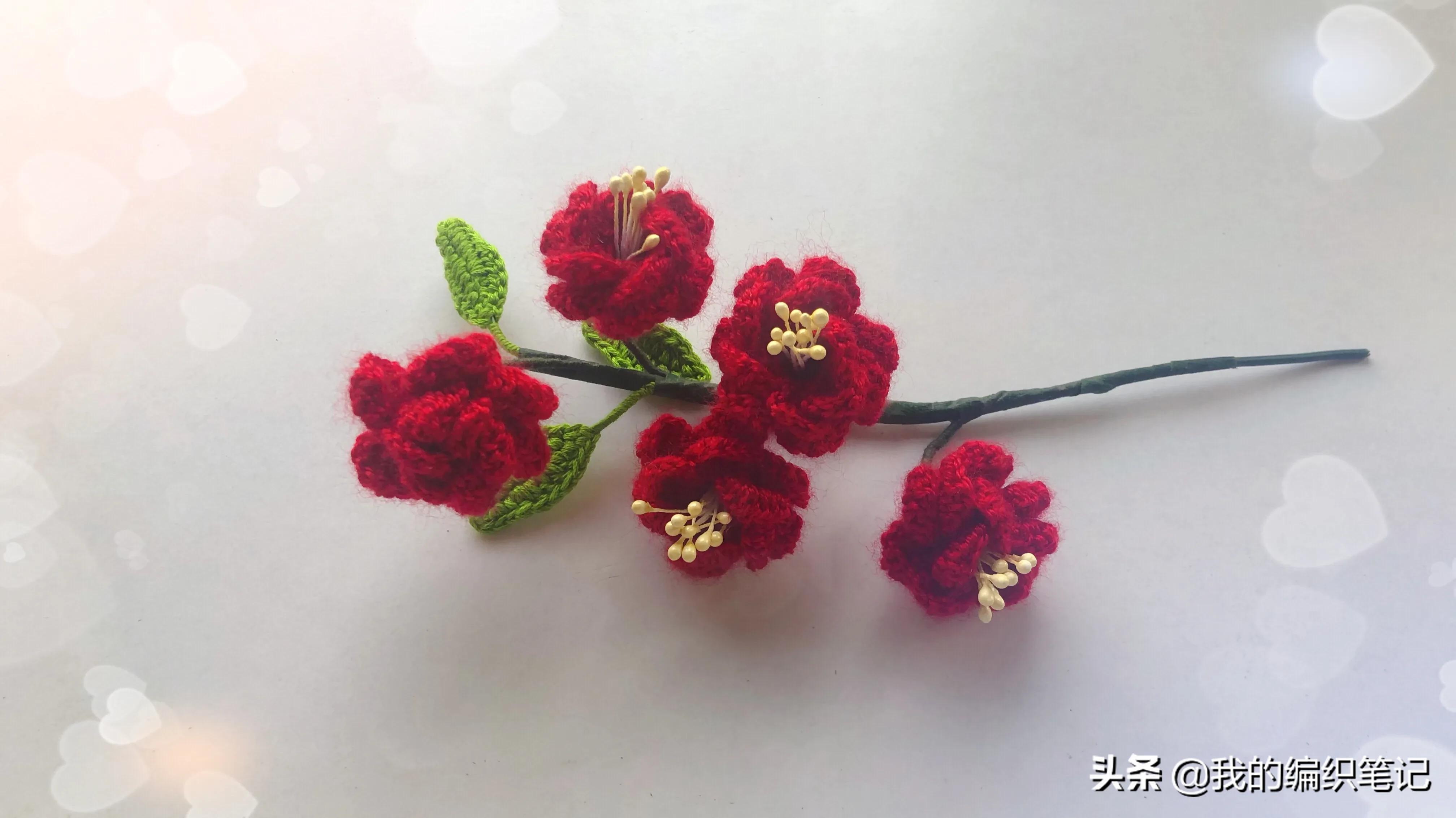 毛线钩针编织梅花视频,钩针梅花花束