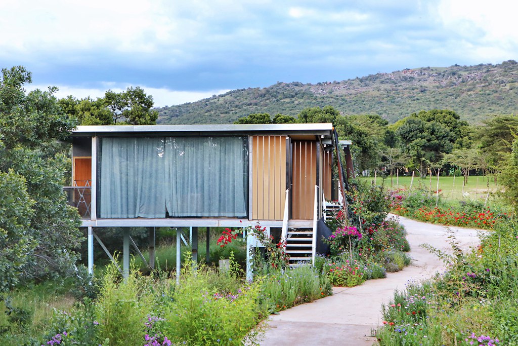 一个中国人在肯尼亚草原旅游创业：老外惊见中国速度，当地人感激