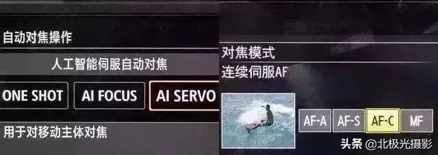 拍摄鸟类照片技巧,拍摄鸟儿照片技巧