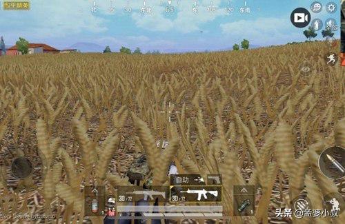 和平精英什么画质容易发现伏地魔,和平精英最容易发现伏地魔的设置