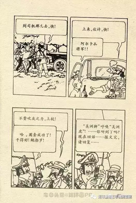 丁丁历险记之丁丁在刚果,丁丁历险记丁丁被石头绊倒