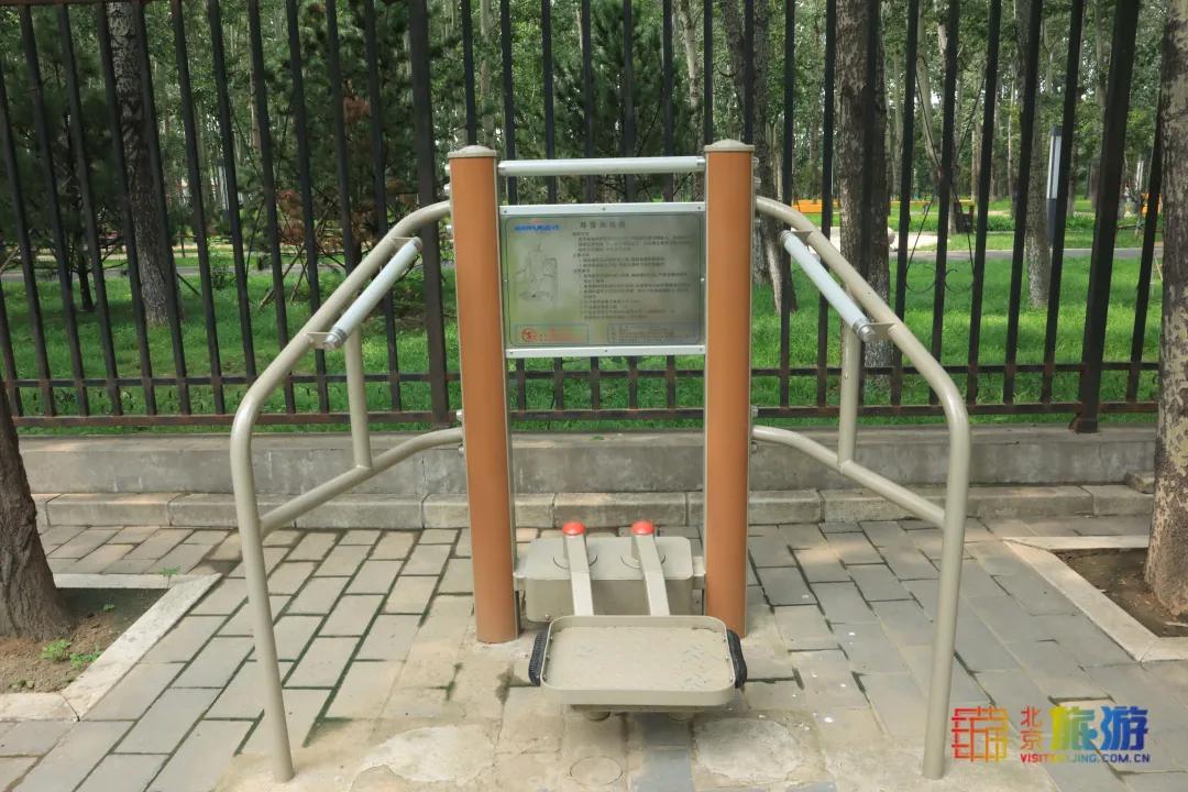 免费！市区就有“小森林”，花海芳香扑鼻！还有美好的祝福送给你