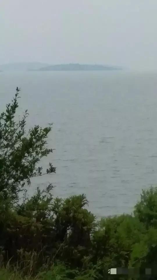 瑗垮北閲戝涵闆嗗競,鑻忓窞瑗垮北鍒閲戝涵涔愬簻