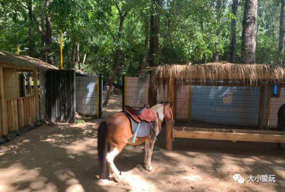 北京遛娃网红打卡地,北京又添一波遛娃新去处