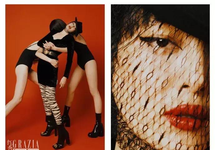 辛芷蕾新剧破案,辛芷蕾的新剧