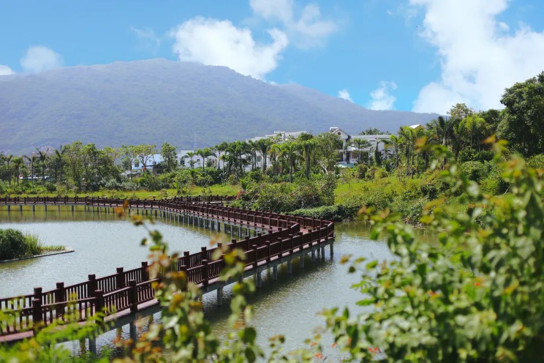 200左右民宿,三亚200元左右的民宿