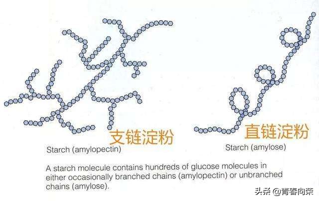 脱（降）糖电饭煲，是伪科学？一文评测彻底看清