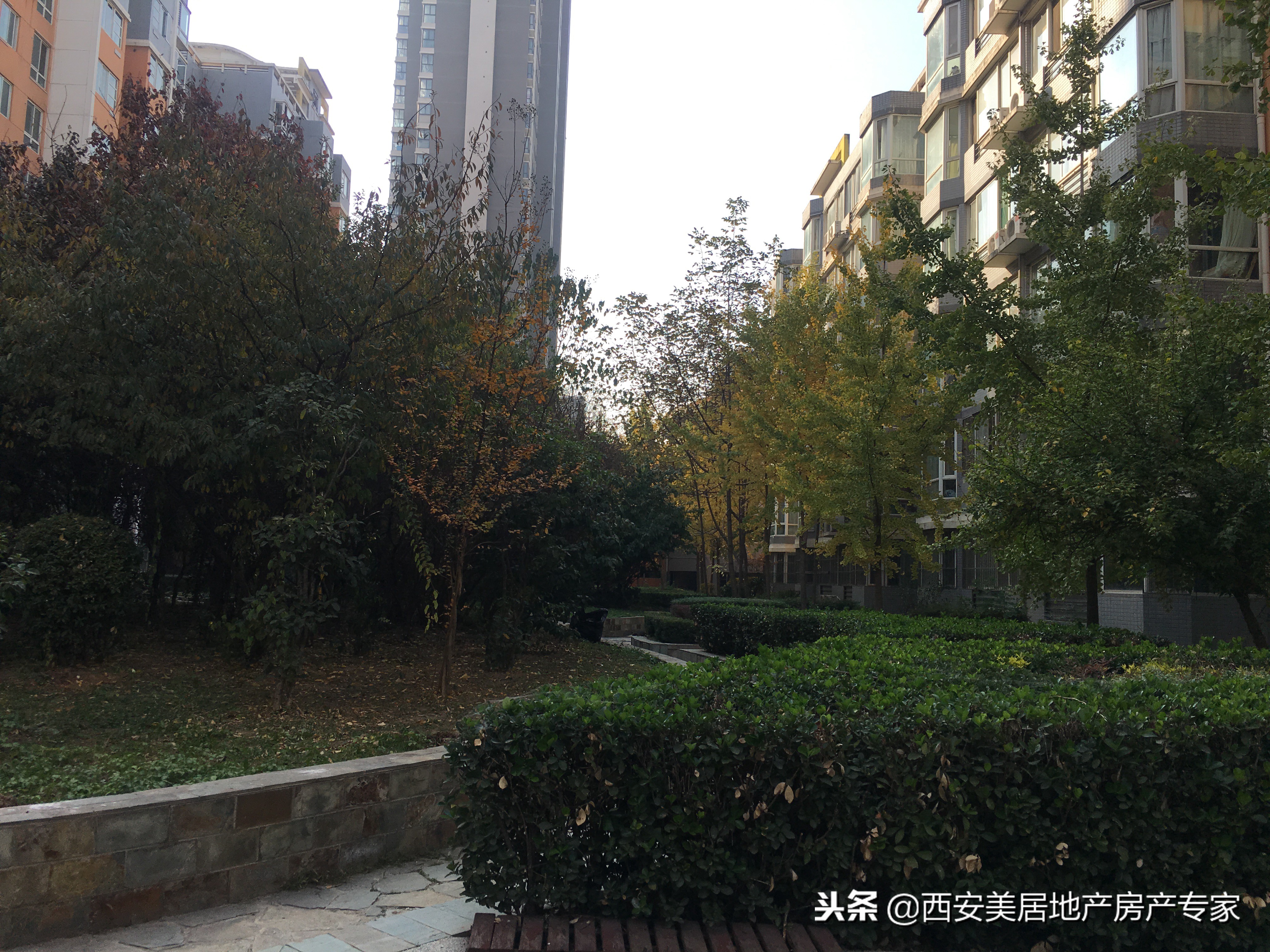 金桥四季花园,金桥花园小区怎么样