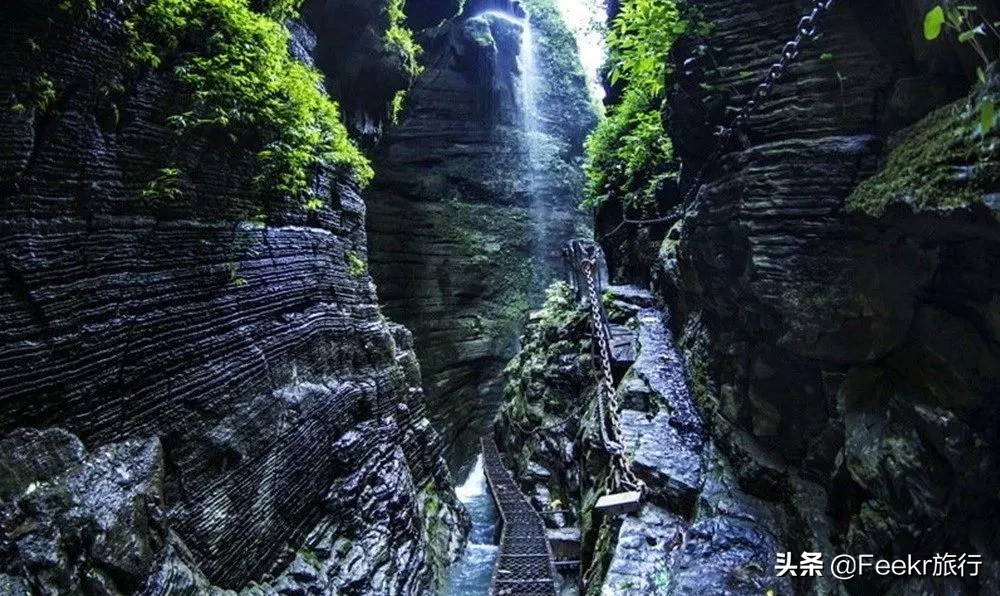 全网为阿朵淘汰鸣不平，而我想去她隐居5年的“世外桃源”静一静