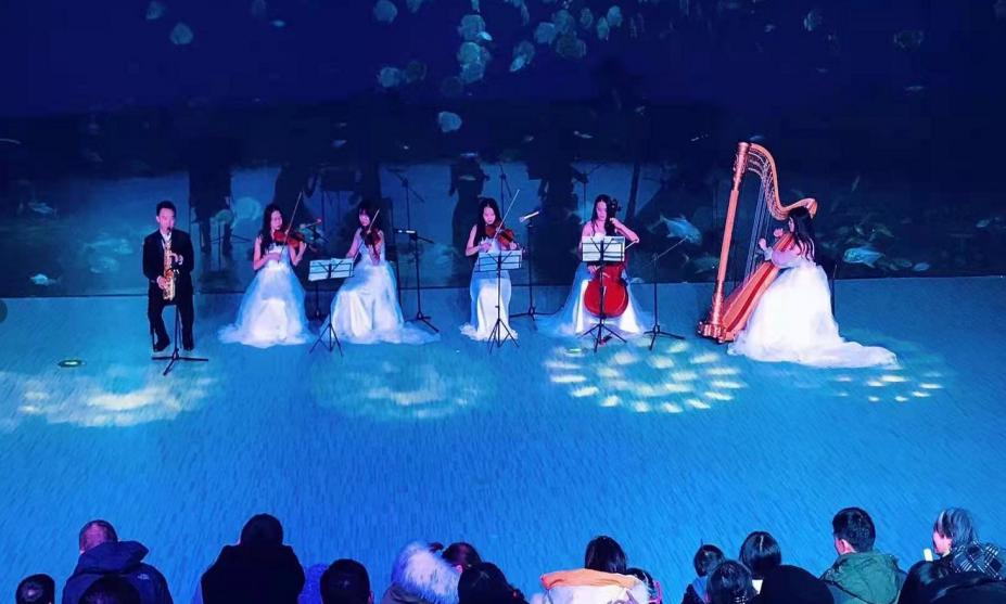 去不了海就去海洋馆,去不了大海就去海底世界