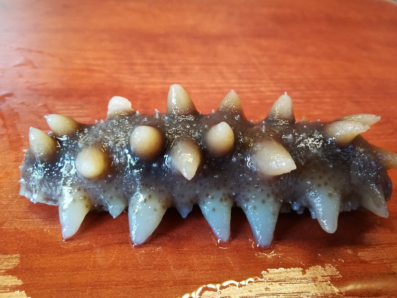 辽宁大连小海岛,辽宁大连旅游岛屿