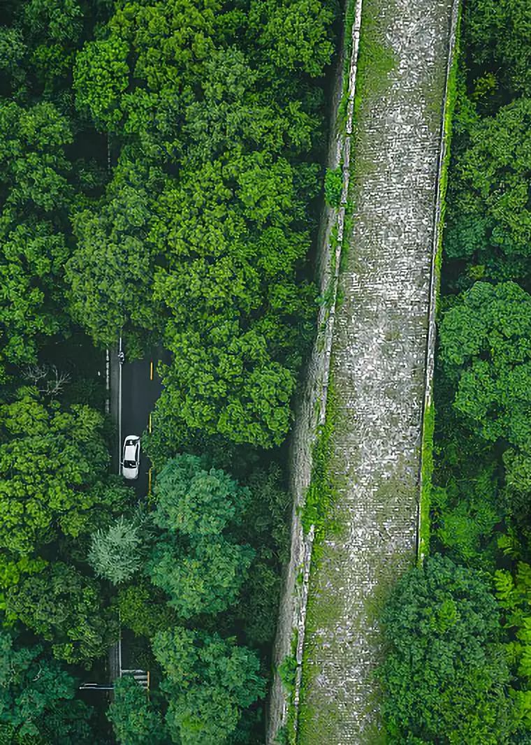 南京历史感沉重的古都,烟水南京