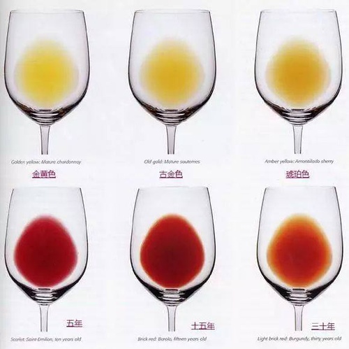 怎样学习红酒入门,红酒知识入门视频教程