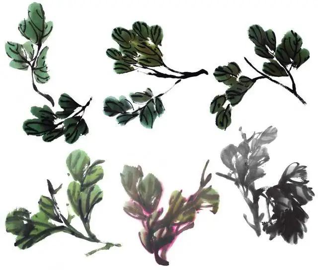 学习写意牡丹画的方法,学习写意牡丹画的步骤