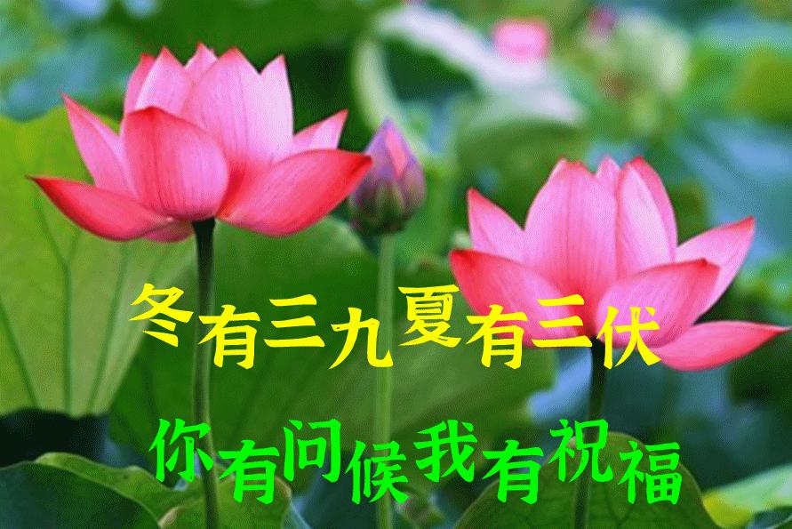 周一早安问候语表情,周一早上好问候语表情