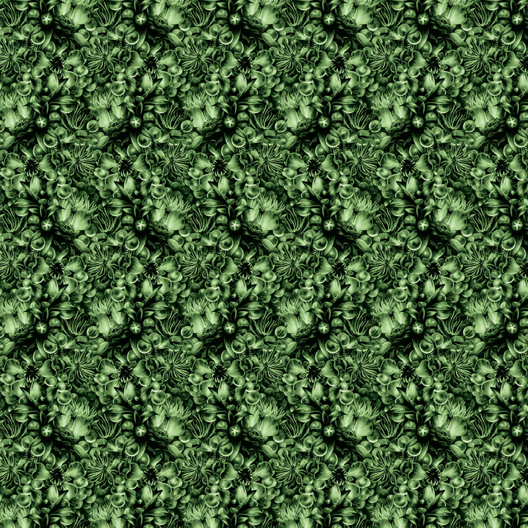 antipodes品牌介绍,antipodes新品鉴赏