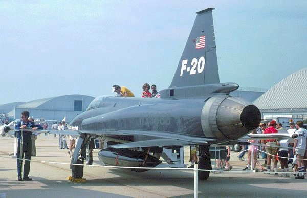 极富悲剧色彩的虎鲸,虎鲨悲剧