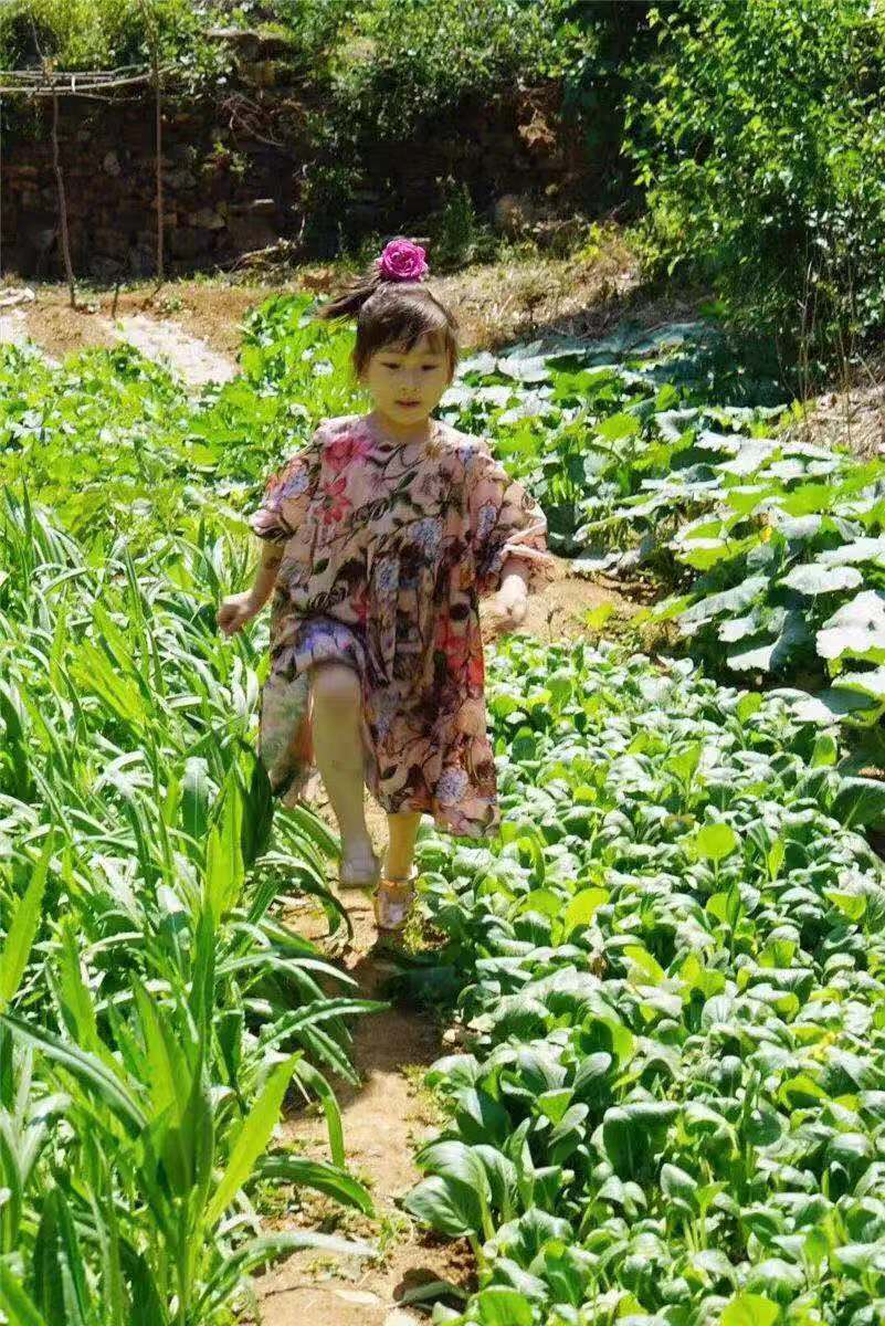 隐藏在大山里的世外桃源在哪里,隐藏在乡村的世外桃源