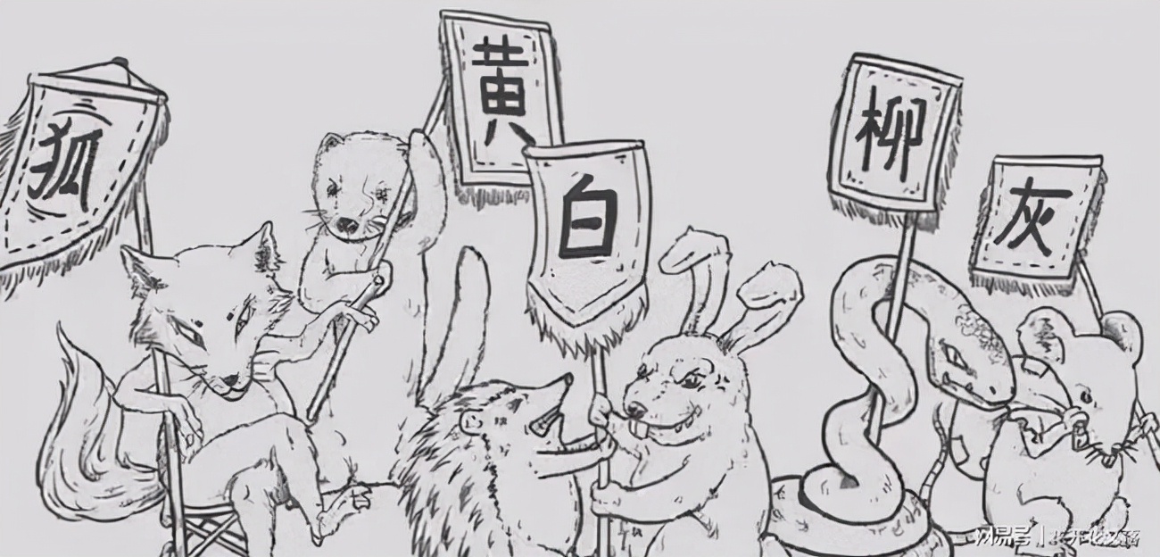 黄鼠狼溜进消防队臭屁暗算消防员,家中溜进黄鼠狼消防员被熏吐