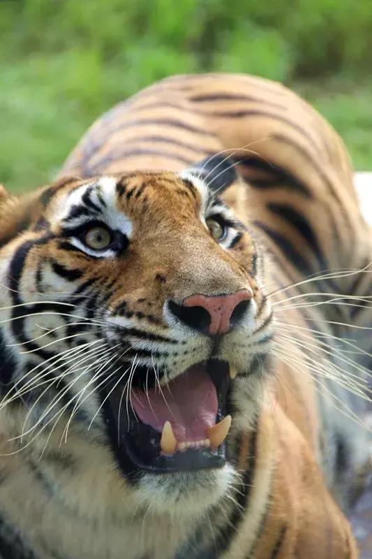 免费！半价！坐山东高铁环形列车，这些景区凭车票统统享优惠！