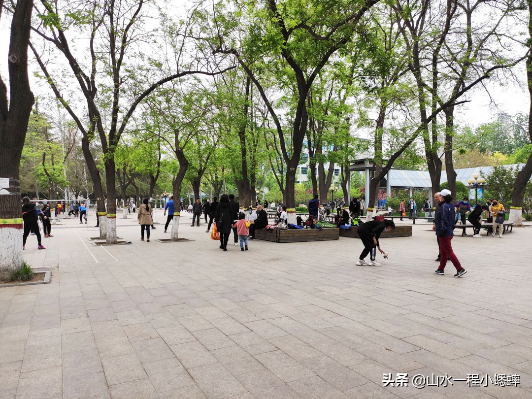 长安公园不愧是石家庄公园老大，牡丹花开真国色,游人如织来长安